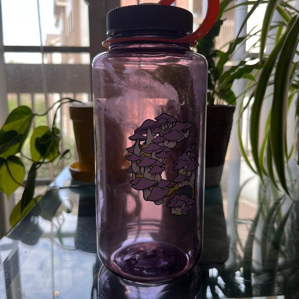 Limited edition mushroom 🍄 Glossier Seattle Water Bottle 💜 - Picture 2 of 6